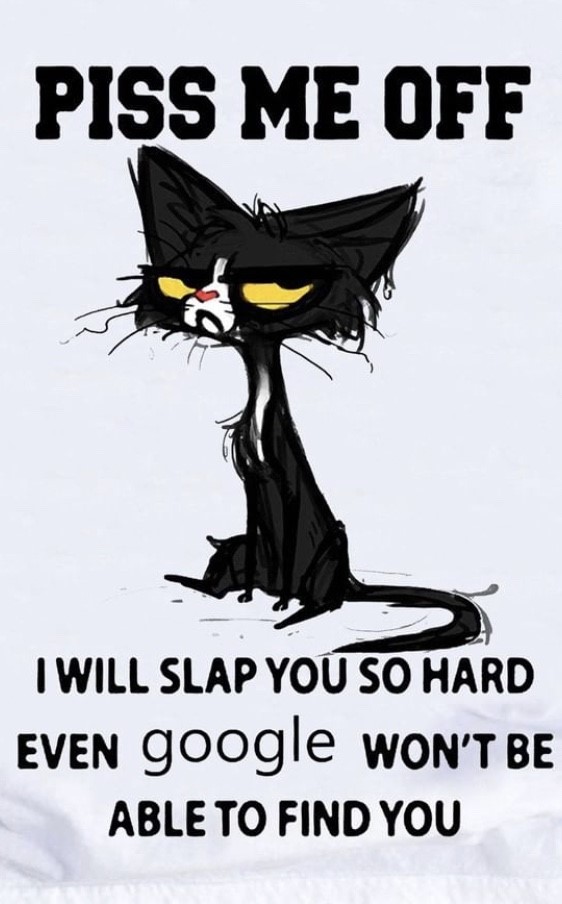 cat slap